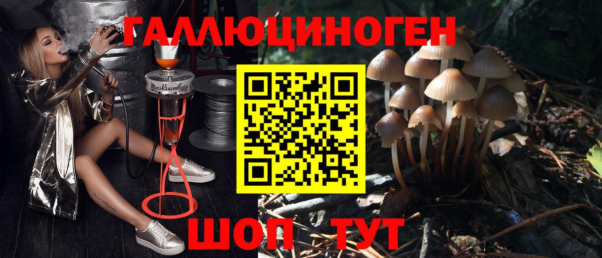 Псилоцибиновые грибы Psilocybine cubensis  Вход с VPN  Сургут 